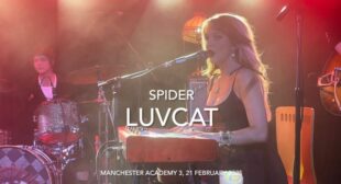 Lyrics of Spider Song