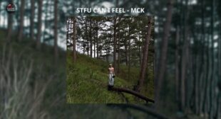 Lyrics of STFU CAN I FEEL Song