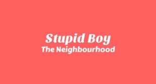 Stupid Boy Song Lyrics