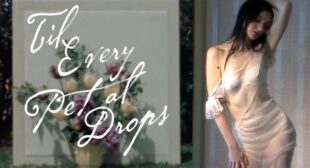 Sugar Rush Song Lyrics