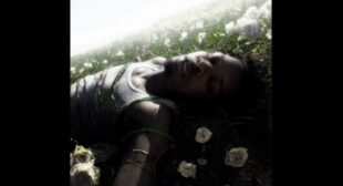 Tattle Tale Lyrics – d4vd