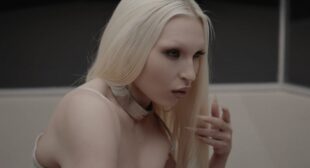 Torn Lyrics – COBRAH