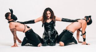 Lyrics of Vadmacska Song