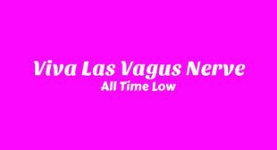 Viva Las Vagus Nerve Lyrics – All Time Low