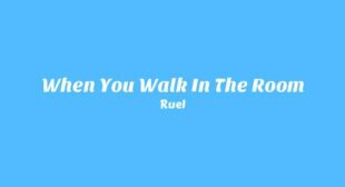 Lyrics of When You Walk In The Room Song