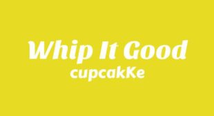 Lyrics of Whip It Good Song