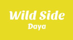Wild Side Lyrics – Daya