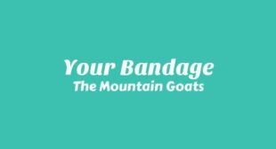 Your Bandage Lyrics – The Mountain Goats