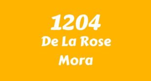 1204 (English Translation) Song Lyrics