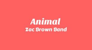 Animal Song Lyrics