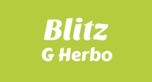 Lyrics of Blitz Song