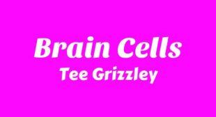 Lyrics of Brain Cells Song