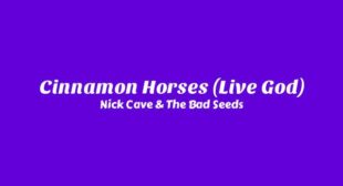Cinnamon Horses (Live God) Lyrics