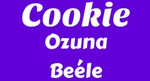 Cookie (English Translation) Lyrics – Ozuna