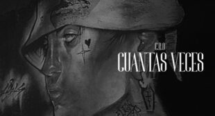 Lyrics of Cansado de perder Song