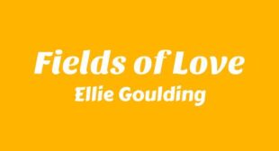 Lyrics of Fields of Love Song