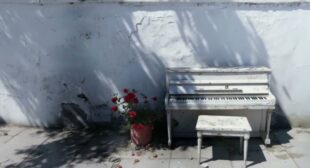 FOTOGRAFIA (English Translation) Song Lyrics