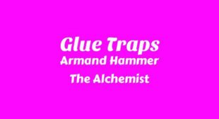 Glue Traps Lyrics – Armand Hammer