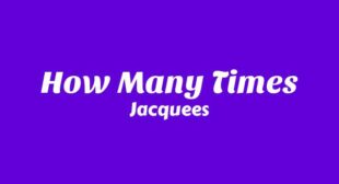 How Many Times Song Lyrics