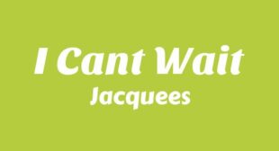 Lyrics of How Many Times Song