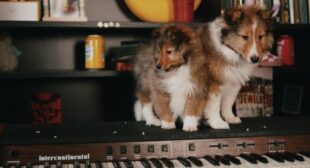 INESTABLE (English Translation) Song Lyrics