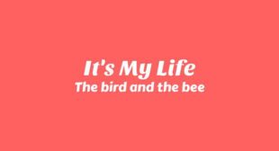Its My Life Lyrics