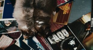 Lyrics of LIP SYNC (English Translation) Song