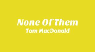 Lyrics of None Of Them Song