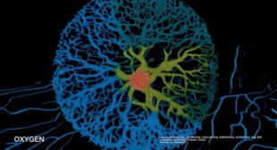 OXYGEN (English Translation) Lyrics – CRAVITY