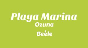 Playa Marina Lyrics – Ozuna