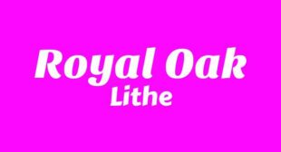 Royal Oak Lyrics – Lithe