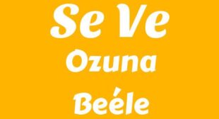 Se Ve (English Translation) Lyrics