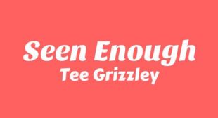 Seen Enough Lyrics – Tee Grizzley
