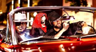 Lyrics of Aguita E Coco Song