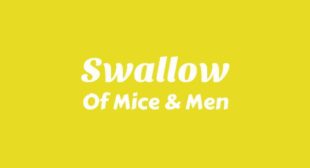 Swallow Lyrics – Of Mice