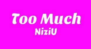 Too Much Lyrics