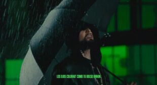 TOY (English Translation) Song Lyrics