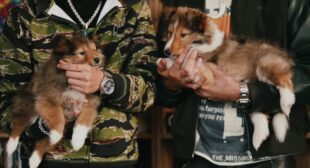 Lyrics of TU CANCION (English Translation) Song