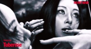 Tuberose (English Translation) Lyrics – SUNMI (선미)