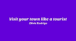 Lyrics of Visit your town like a tourist Song