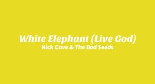 White Elephant (Live God) Song Lyrics