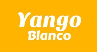 Lyrics of Yango Song