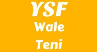 YSF Lyrics – Wale