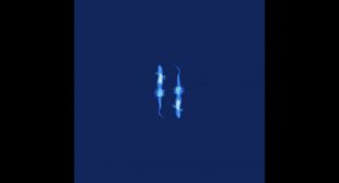 Lyrics of TRASH DECADE Song