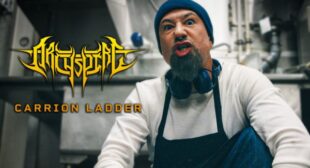 Carrion Ladder Song Lyrics