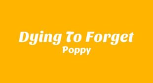 Lyrics of Dying To Forget Song