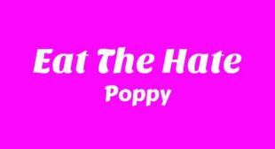 Eat The Hate Lyrics