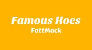 Lyrics of Famous Hoes Song
