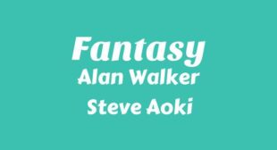 Fantasy Lyrics – Alan Walker