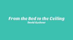 From the Bed to the Ceiling Lyrics – David Kushner